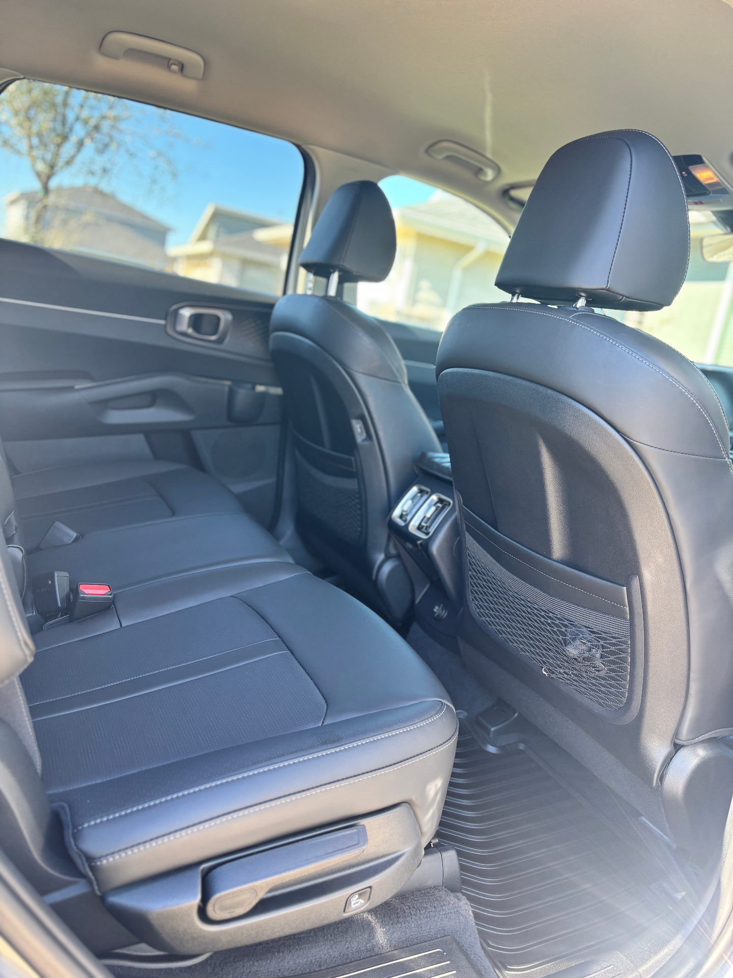 Freshly cleaned black leather rear seats and interior trim
